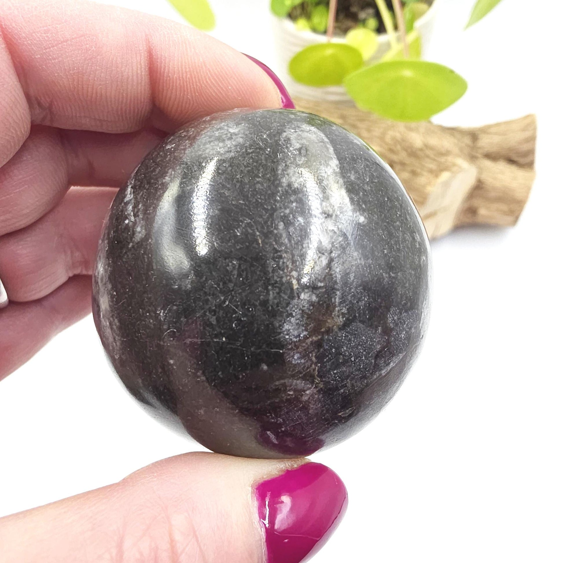 Orthoceras Fossil Sphere – Ancient Ocean Energy, Grounding & Earth History Crystal Ball, 53mm