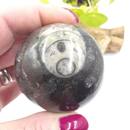 Orthoceras Fossil Sphere – Ancient Ocean Energy, Grounding & Earth History Crystal Ball, 53mm