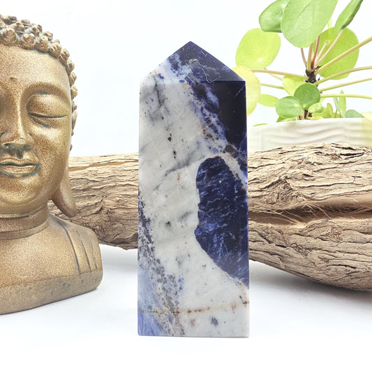 Sodalite Tower – Truth, Intuition & Calm Communication Healing Crystal Point, 12cm