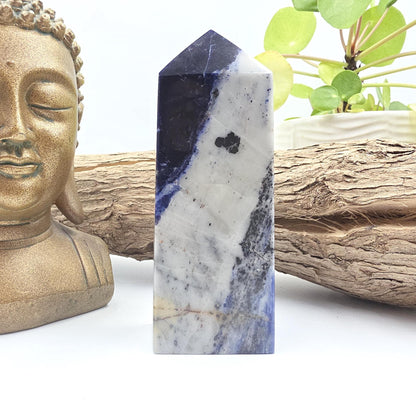 Sodalite Tower – Truth, Intuition & Calm Communication Healing Crystal Point, 12cm