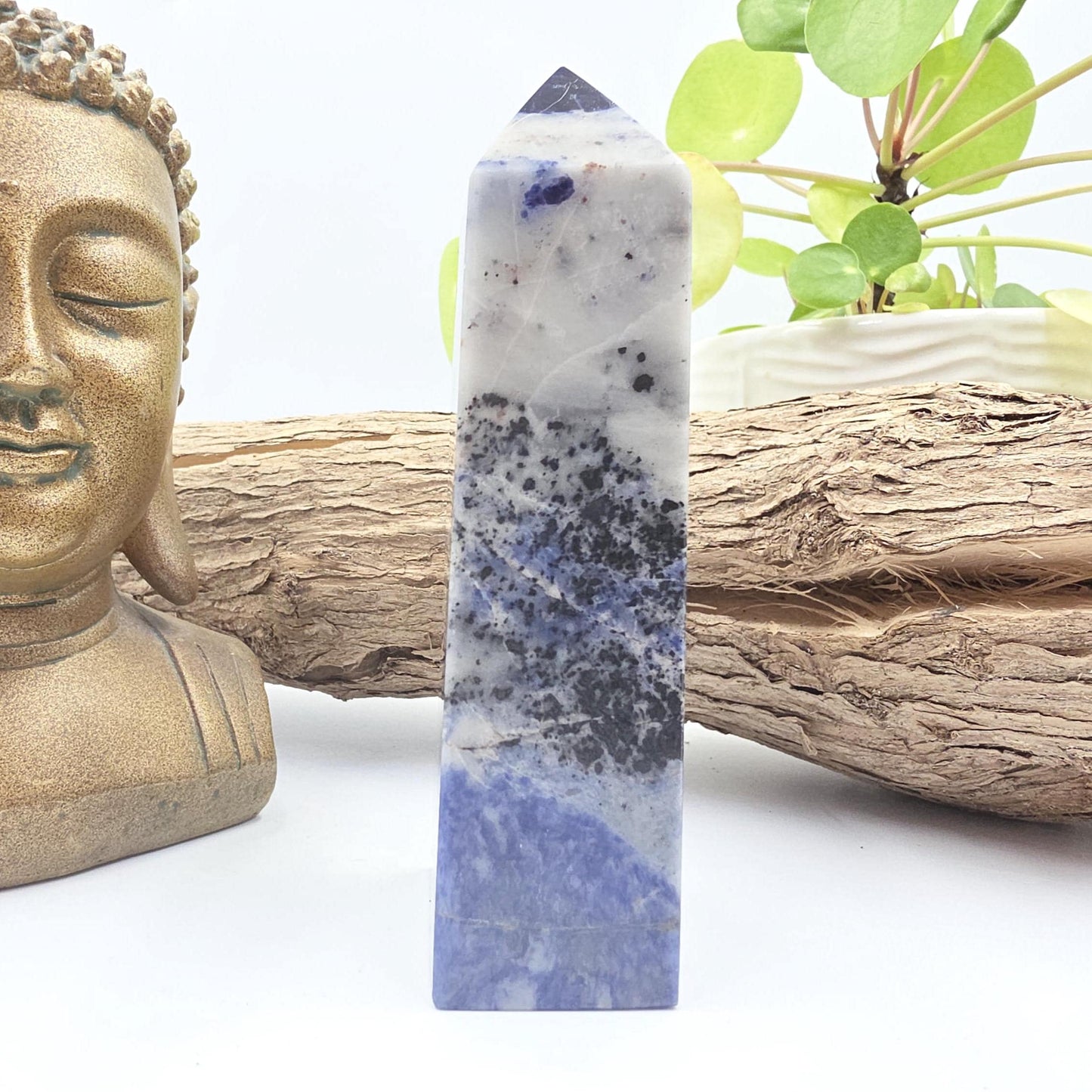 Sodalite Tower – Truth, Intuition & Calm Communication Healing Crystal Point, 12cm