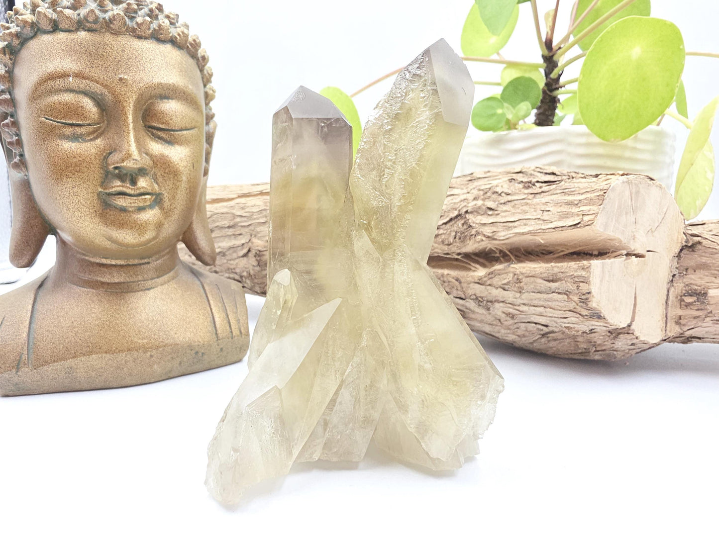 Raw Citrine Cluster – Natural Golden Quartz for Abundance, Joy & Manifestation Energy, 260g