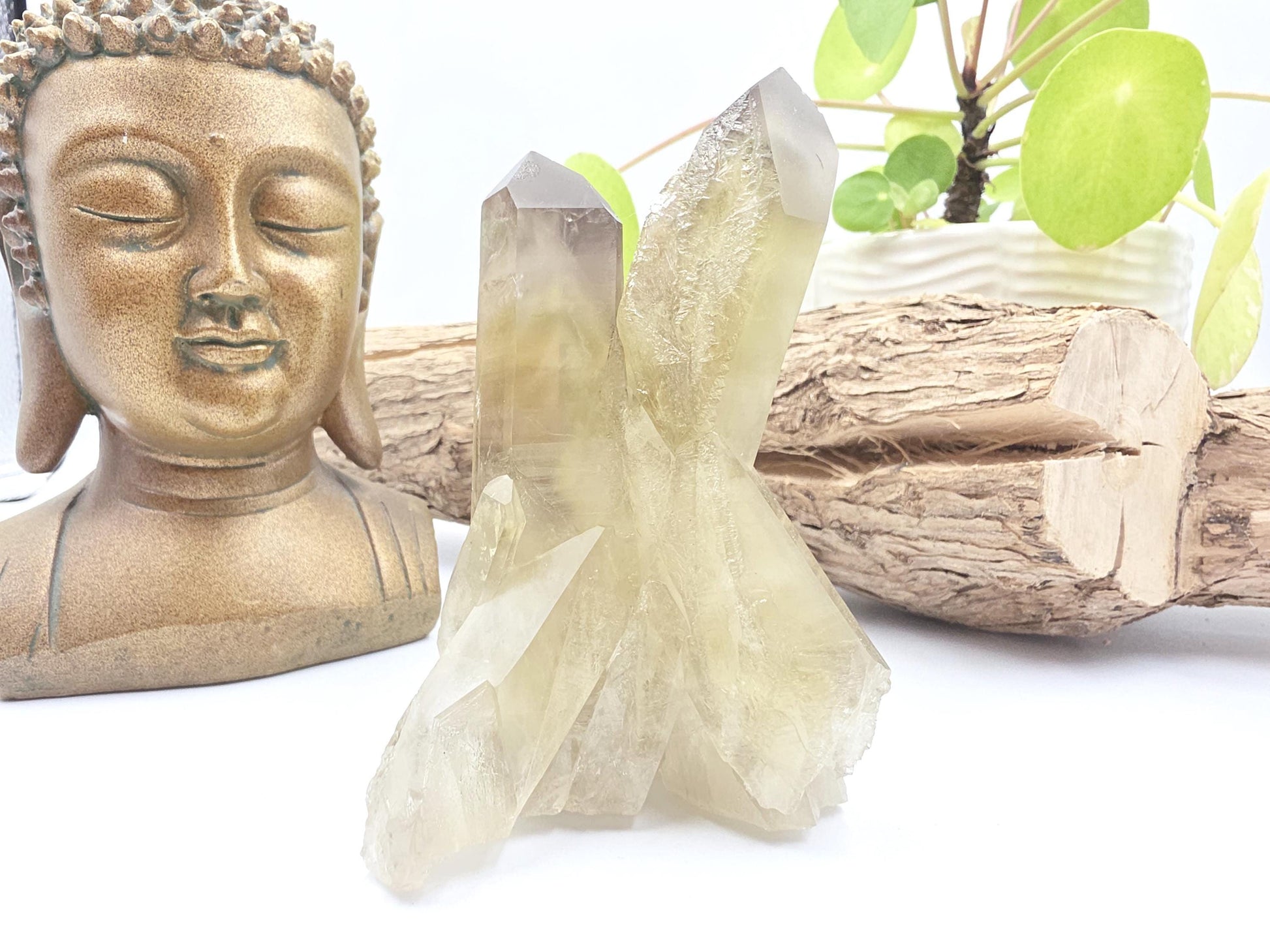 Raw Citrine Cluster – Natural Golden Quartz for Abundance, Joy & Manifestation Energy, 260g
