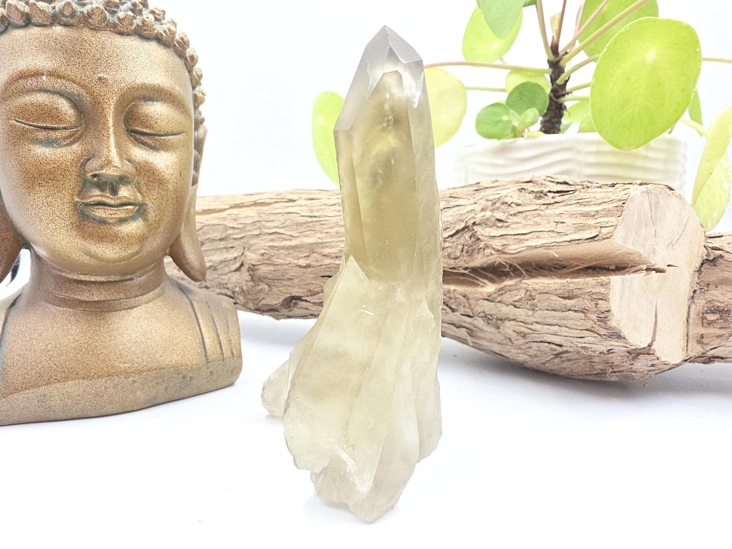 Raw Citrine Cluster – Natural Golden Quartz for Abundance, Joy & Manifestation Energy, 260g