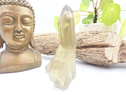 Raw Citrine Cluster – Natural Golden Quartz for Abundance, Joy & Manifestation Energy, 260g