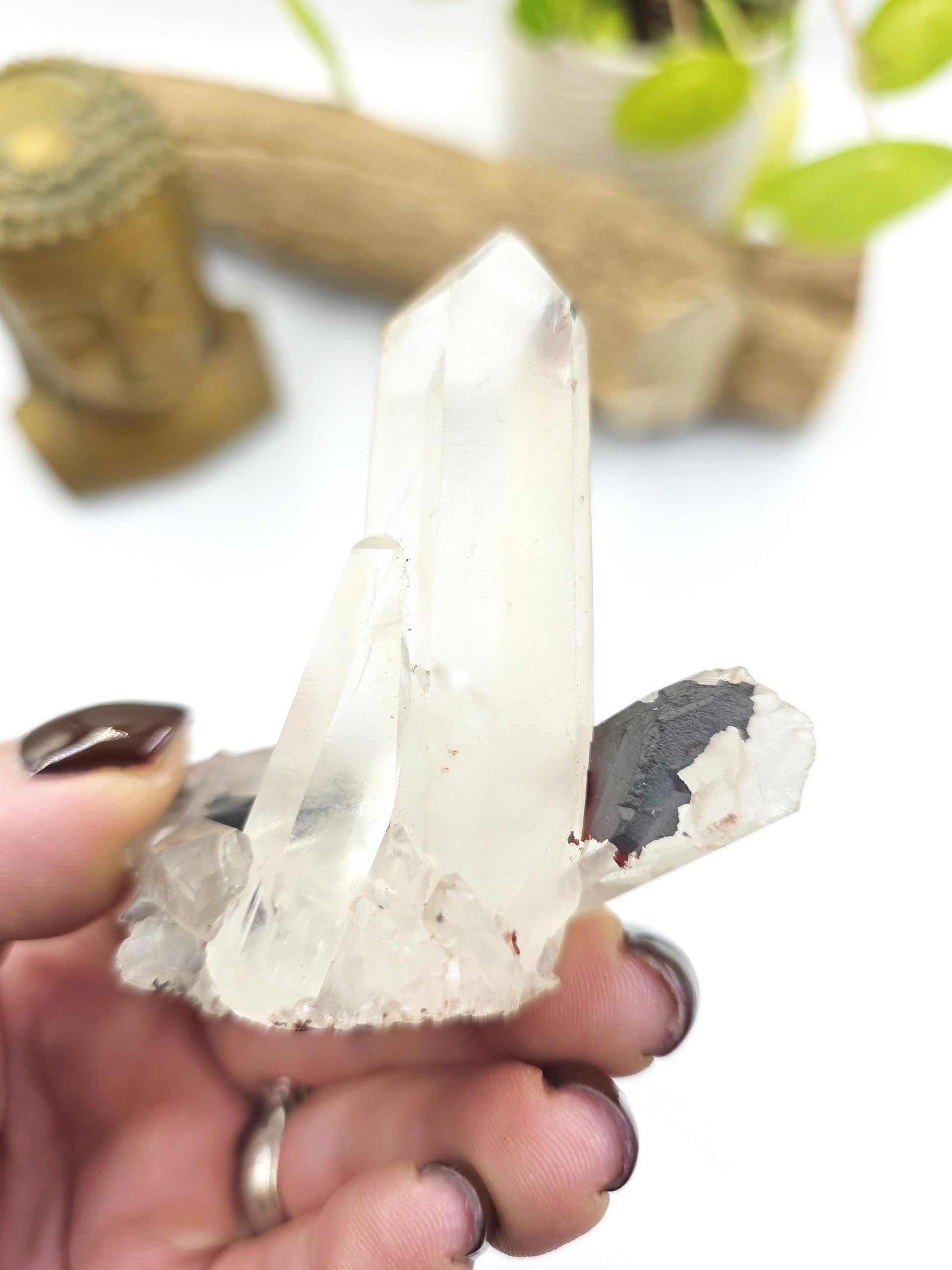 Clear Quartz and Hematite Cluster Specimen - Grounding & Amplifying Healing Raw Crystal, 80g