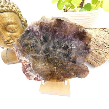 Auralite 23 Slice – High Vibration Healing, Intuition & Deep Spiritual Connection Crystal, 185g