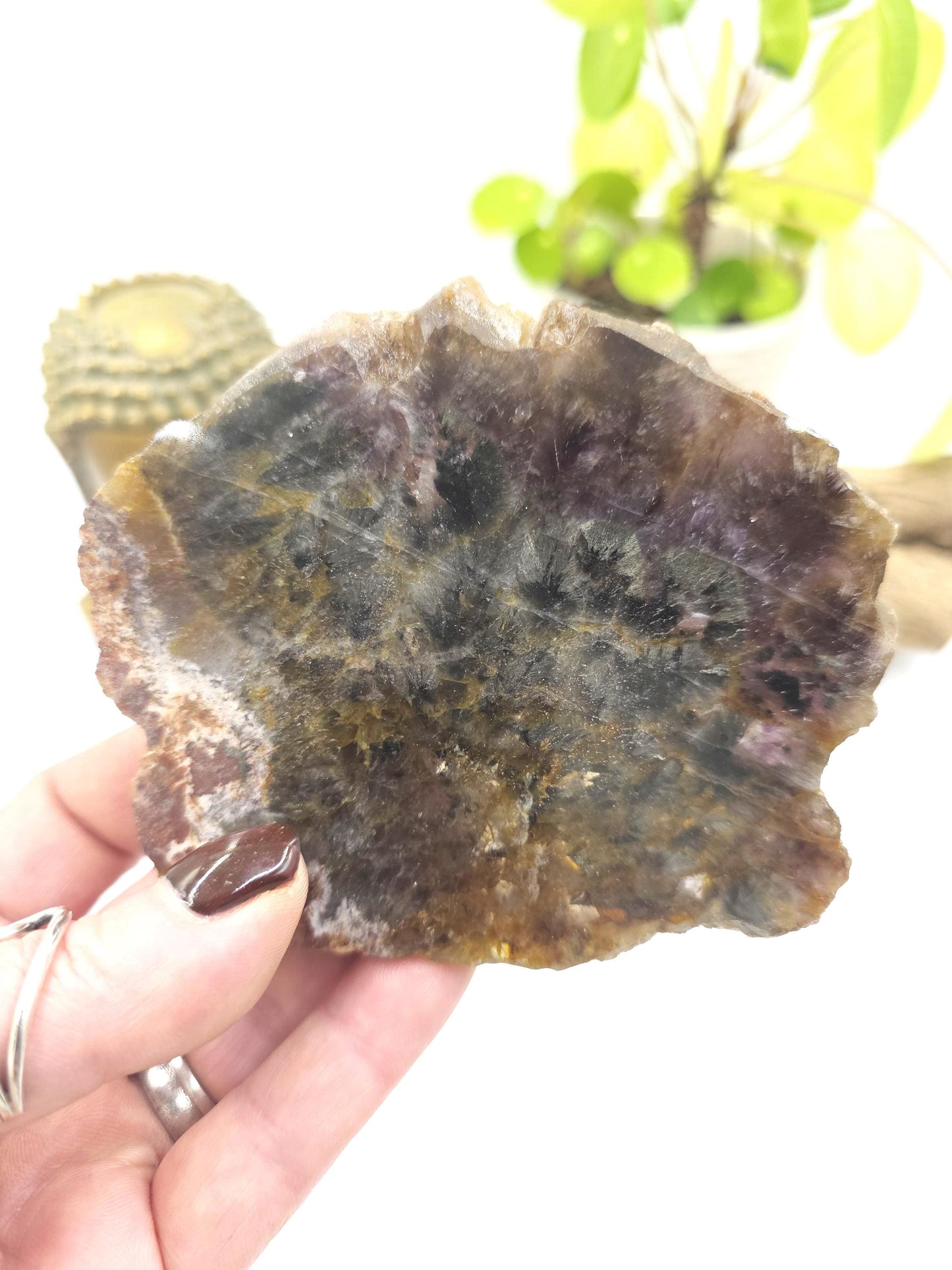 Auralite 23 Slice – High Vibration Healing, Intuition & Deep Spiritual Connection Crystal, 185g