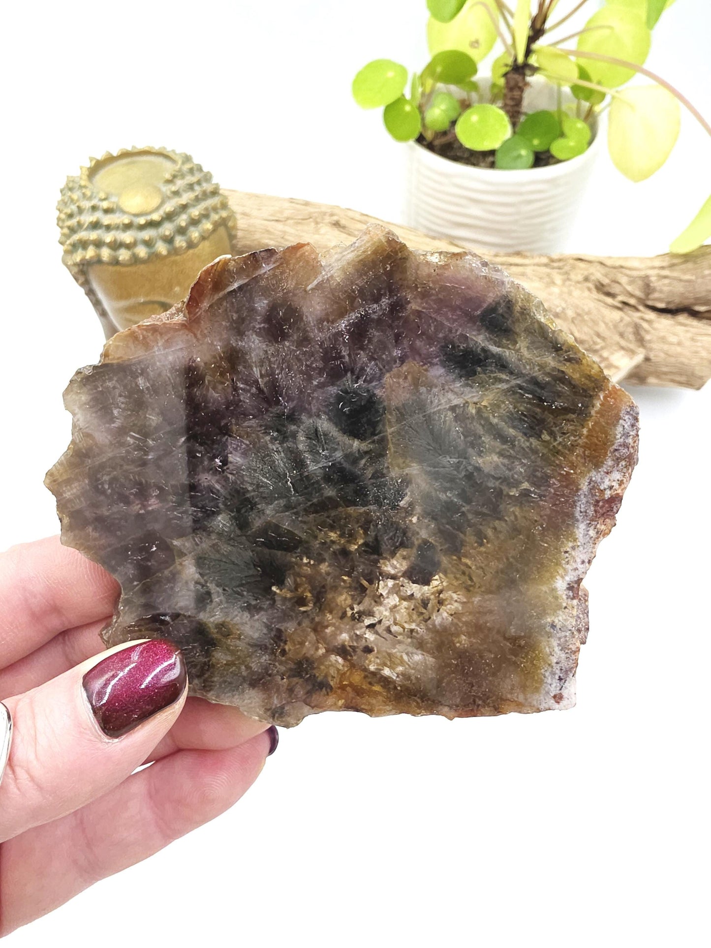 Auralite 23 Slice – High Vibration Healing, Intuition & Deep Spiritual Connection Crystal, 185g