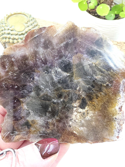 Auralite 23 Slice – High Vibration Healing, Intuition & Deep Spiritual Connection Crystal, 185g