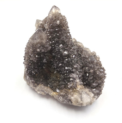 Rare Black Spirit Quartz Cluster - Protective & Spiritual Growth Crystal - 65g