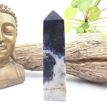 Sodalite Tower – Truth, Intuition & Calm Communication Healing Crystal Point, 12cm