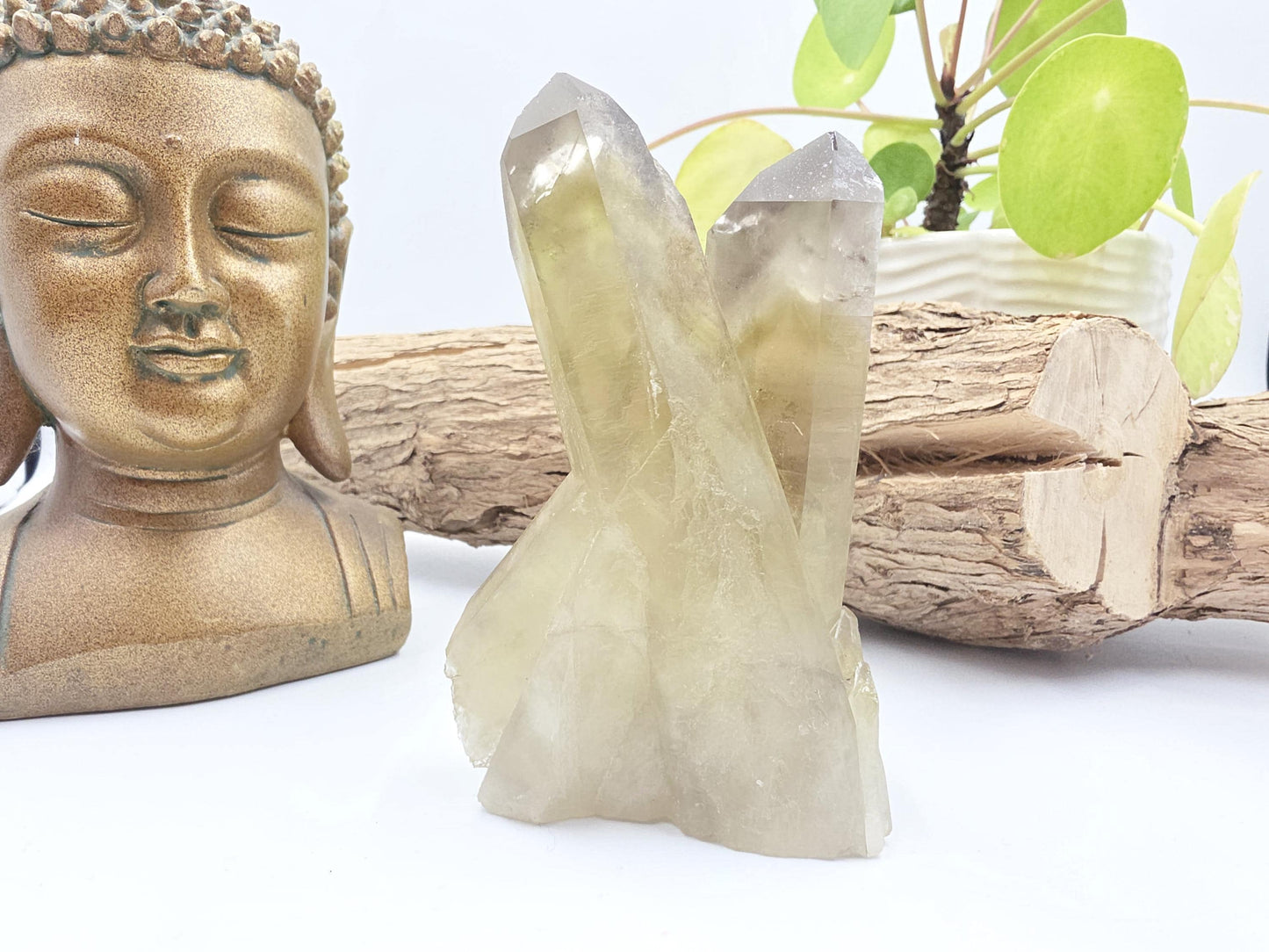 Raw Citrine Cluster – Natural Golden Quartz for Abundance, Joy & Manifestation Energy, 260g