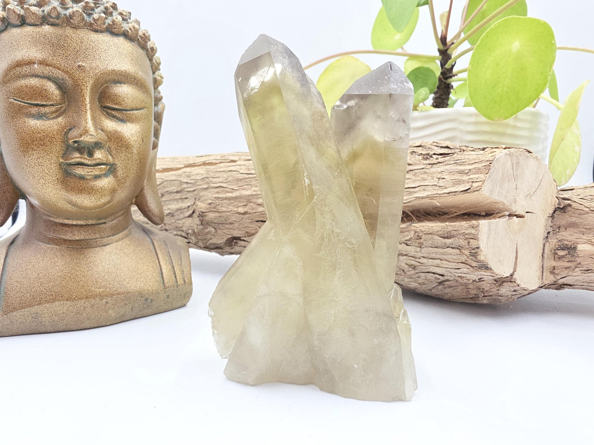 Raw Citrine Cluster – Natural Golden Quartz for Abundance, Joy & Manifestation Energy, 260g