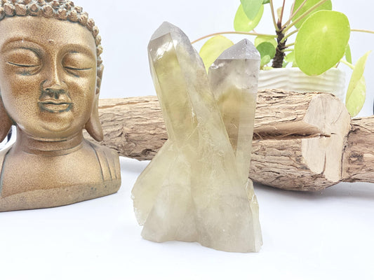 Raw Citrine Cluster – Natural Golden Quartz for Abundance, Joy & Manifestation Energy, 260g