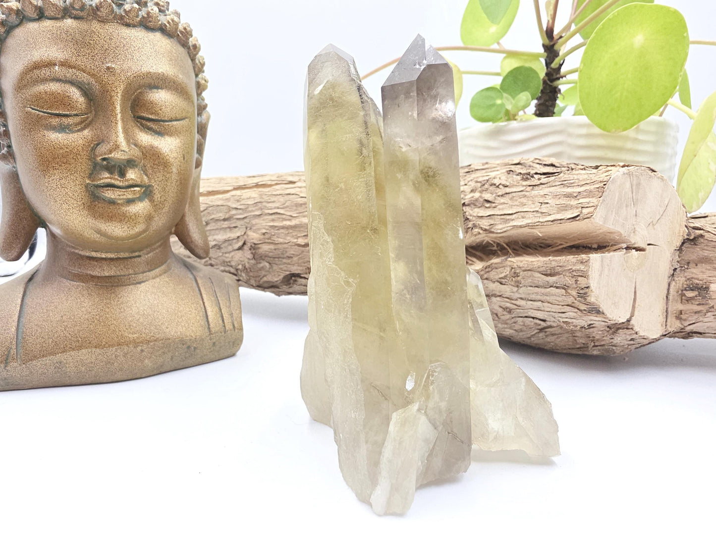 Raw Citrine Cluster – Natural Golden Quartz for Abundance, Joy & Manifestation Energy, 260g