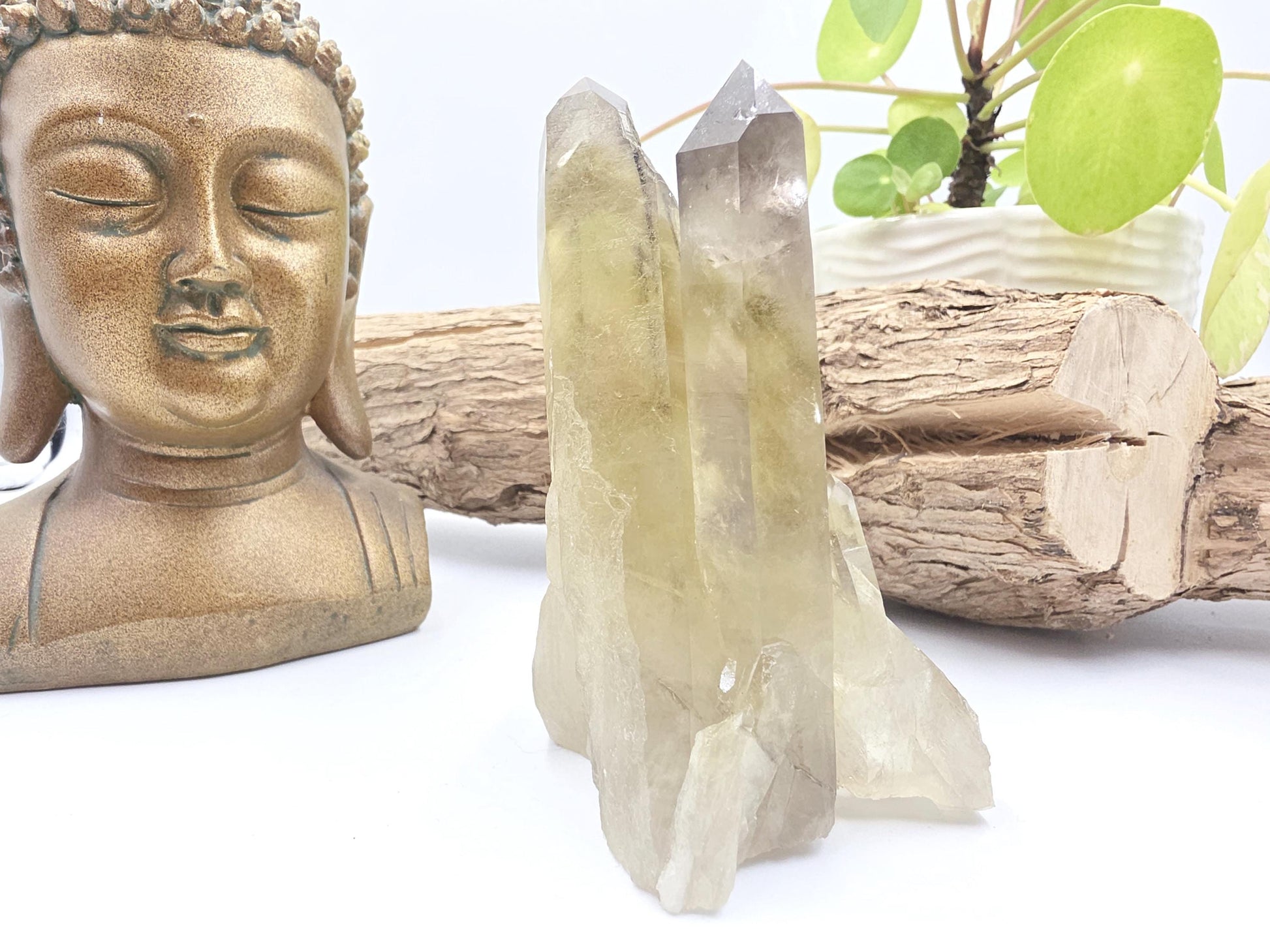 Raw Citrine Cluster – Natural Golden Quartz for Abundance, Joy & Manifestation Energy, 260g