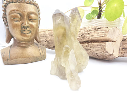 Raw Citrine Cluster – Natural Golden Quartz for Abundance, Joy & Manifestation Energy, 260g