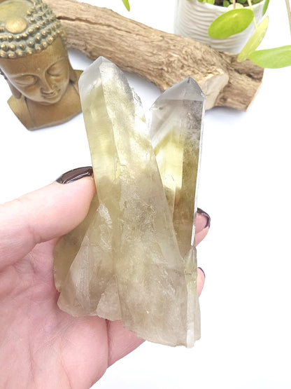 Raw Citrine Cluster – Natural Golden Quartz for Abundance, Joy & Manifestation Energy, 260g