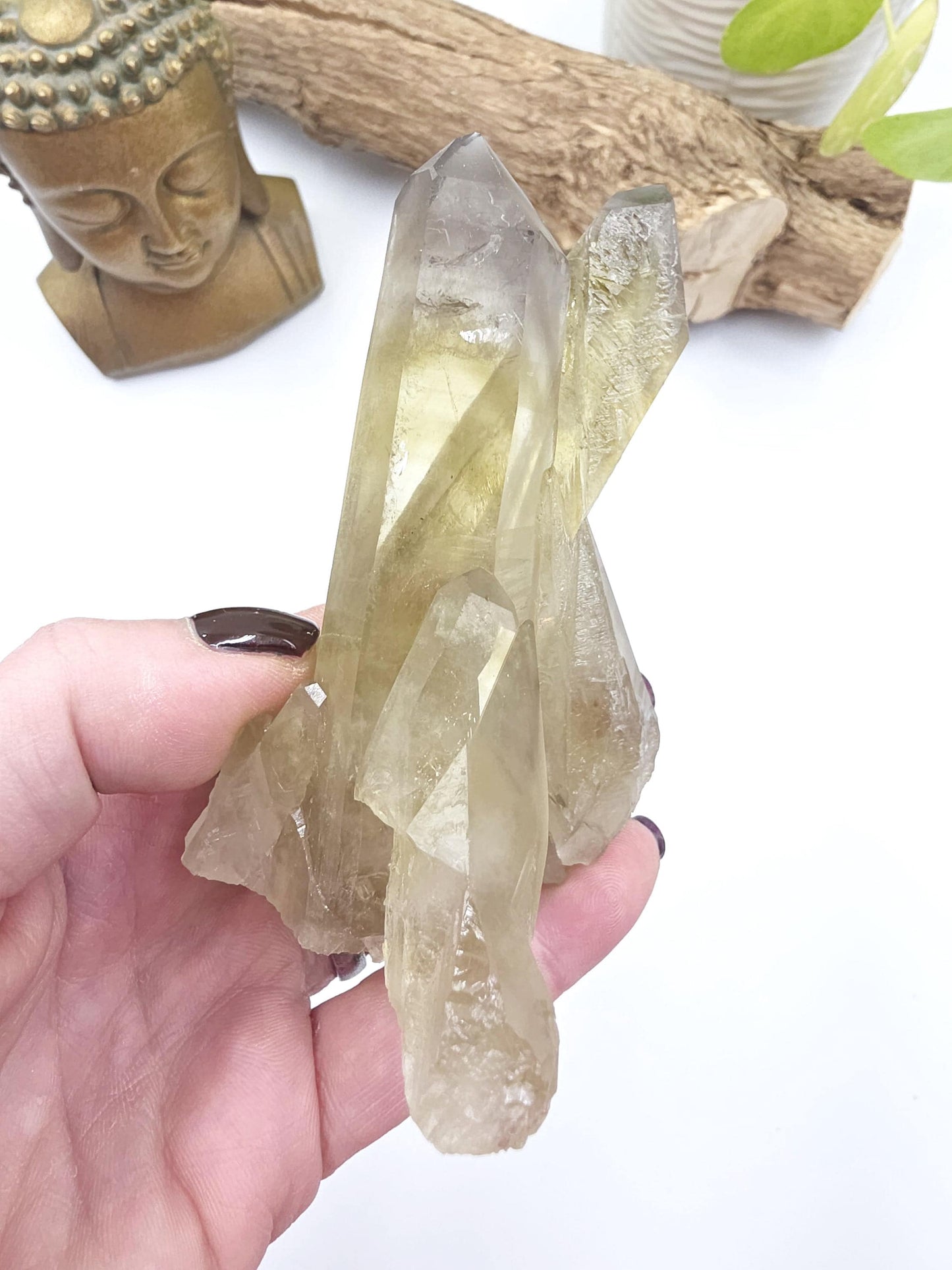 Raw Citrine Cluster – Natural Golden Quartz for Abundance, Joy & Manifestation Energy, 260g