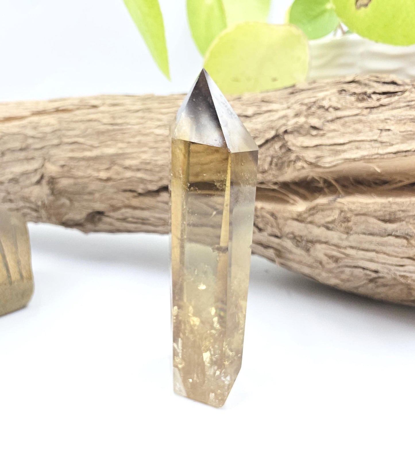 Citrine Point - Natural Manifestation & Abundance Healing Crystal - 70g
