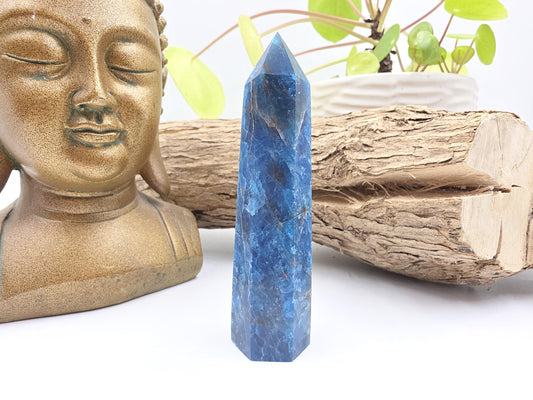 Blue Apatite Tower - Inspiration, Focus & Motivation Crystal Point, 100g