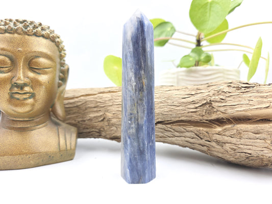 High Grade Kyanite Tower - Alignment & Communication Crystal Point - 13cm