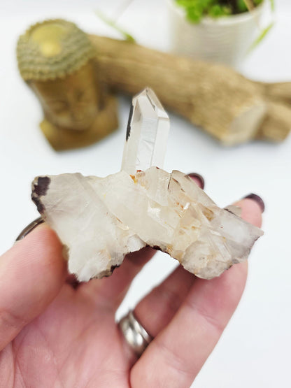 Clear Quartz and Hematite Cluster Specimen - Grounding & Amplifying Healing Raw Crystal, 80g