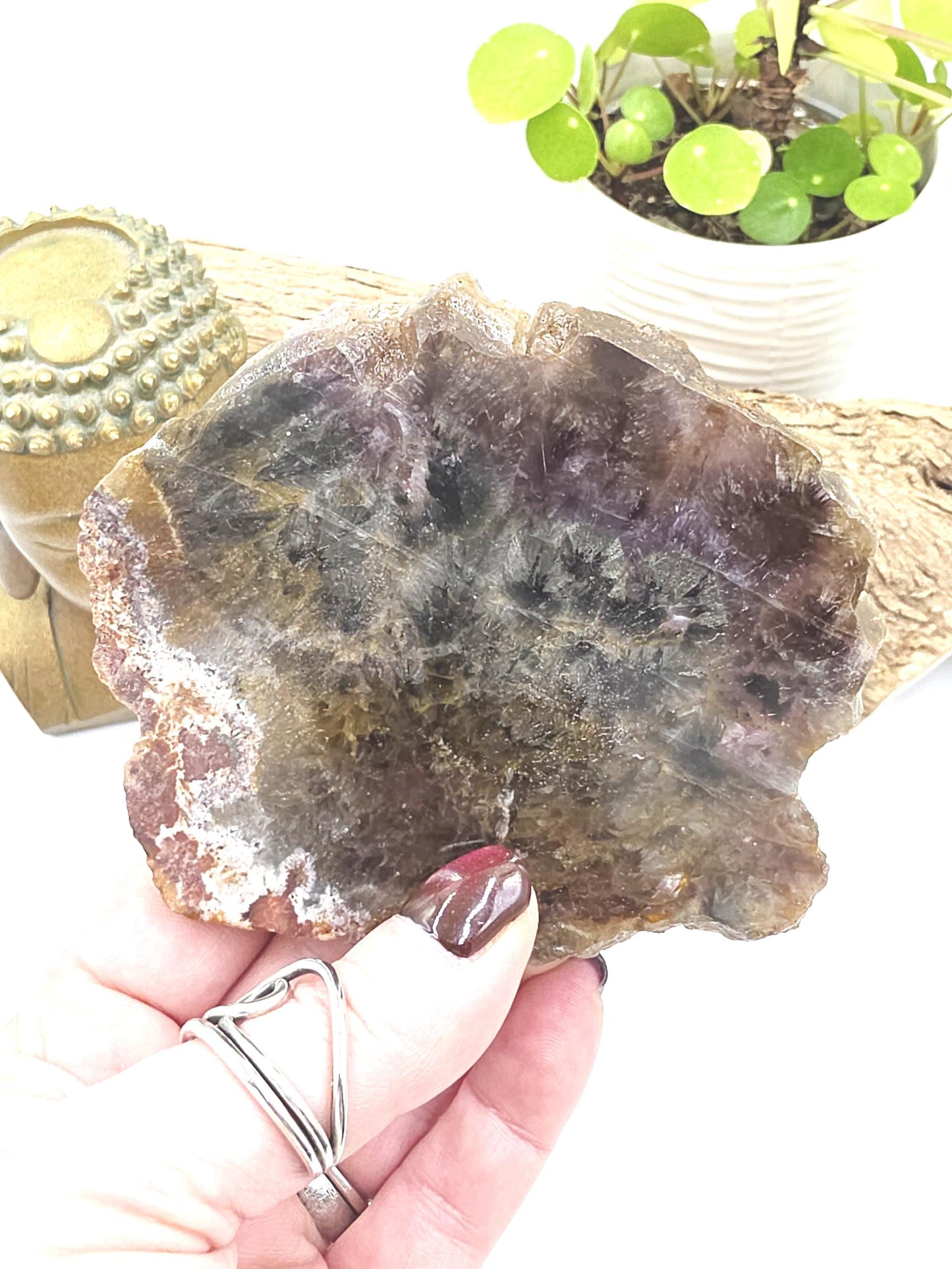 Auralite 23 Slice – High Vibration Healing, Intuition & Deep Spiritual Connection Crystal, 185g