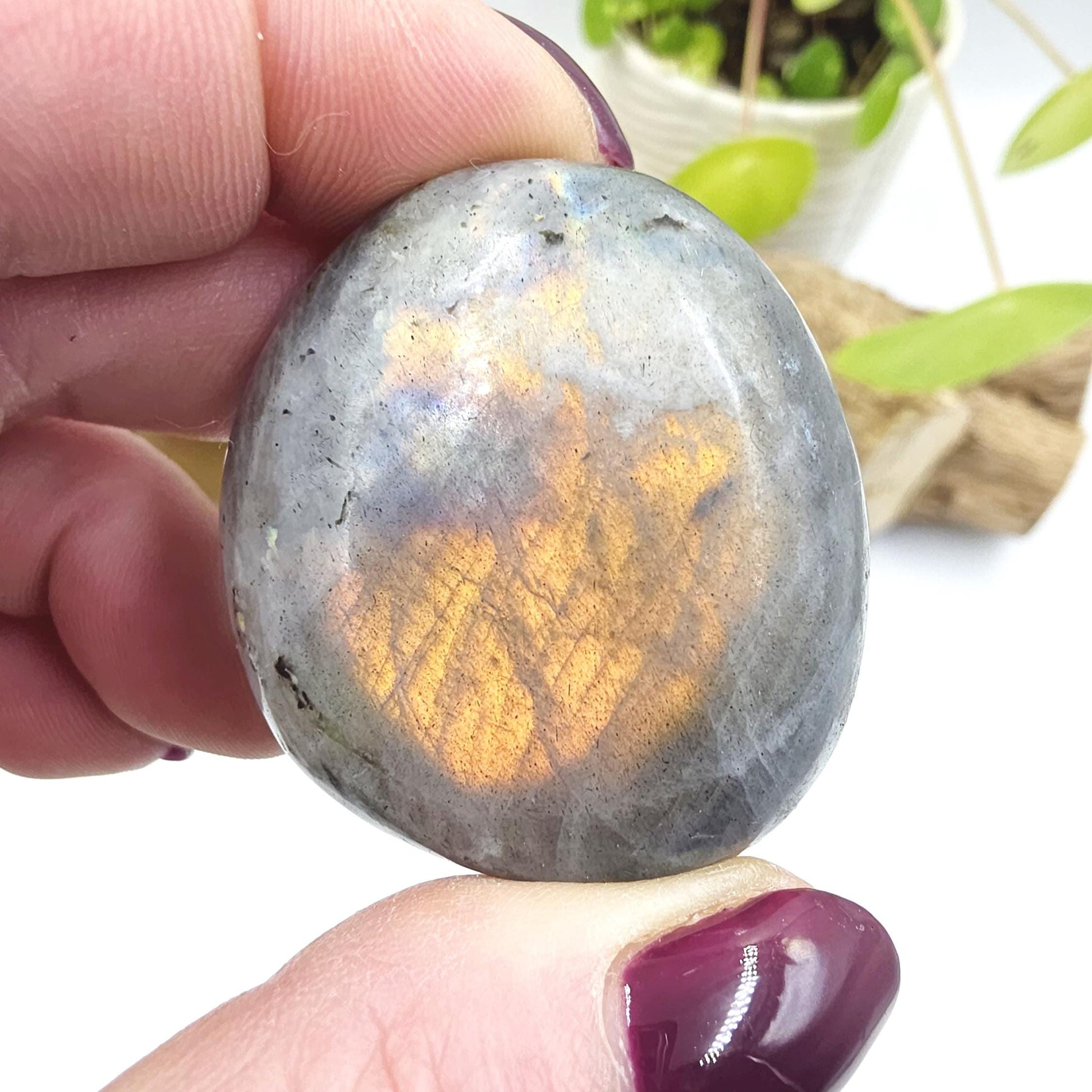 Labradorite Palm Stone – Protection, Intuition & Transformation Crystal, 60g