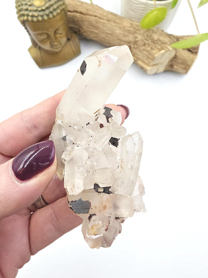 Clear Quartz and Hematite Cluster Specimen - Grounding & Amplifying Healing Raw Crystal, 85g