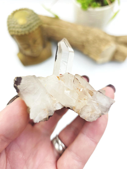 Clear Quartz and Hematite Cluster Specimen - Grounding & Amplifying Healing Raw Crystal, 80g