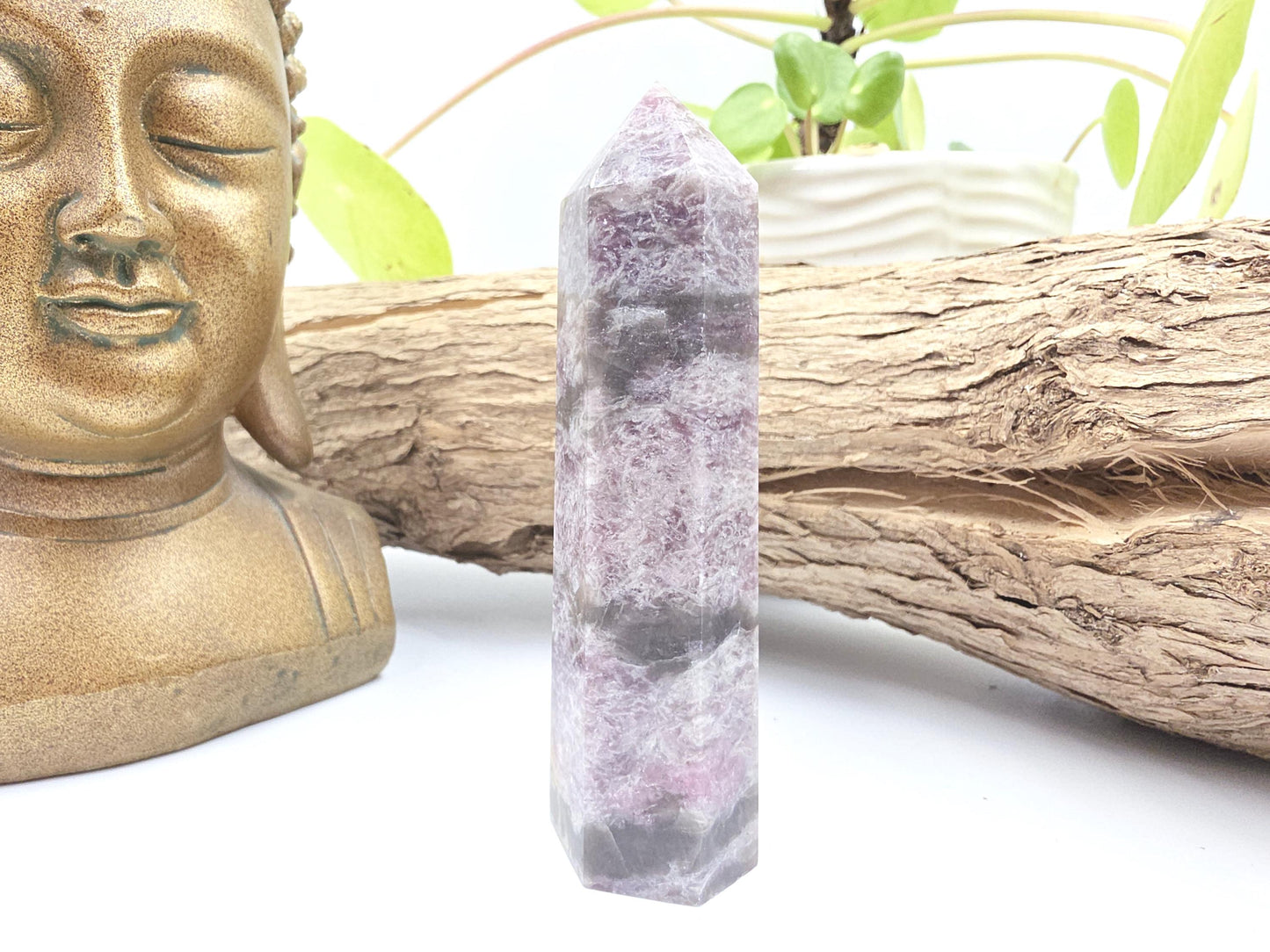 Plum Blossom Tourmaline Tower (Rubellite) - Emotional Healing & Spiritual Growth Crystal Point - 100g