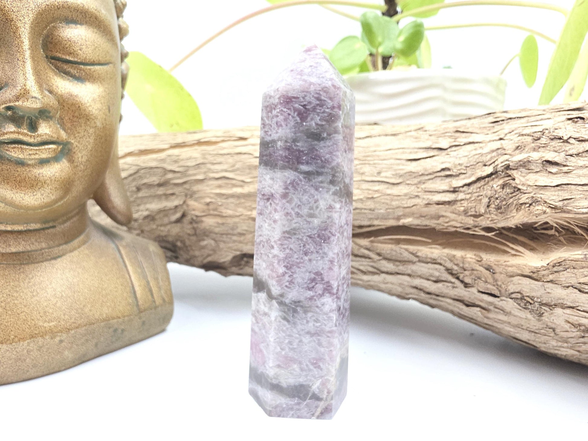 Plum Blossom Tourmaline Tower (Rubellite) - Emotional Healing & Spiritual Growth Crystal Point - 100g