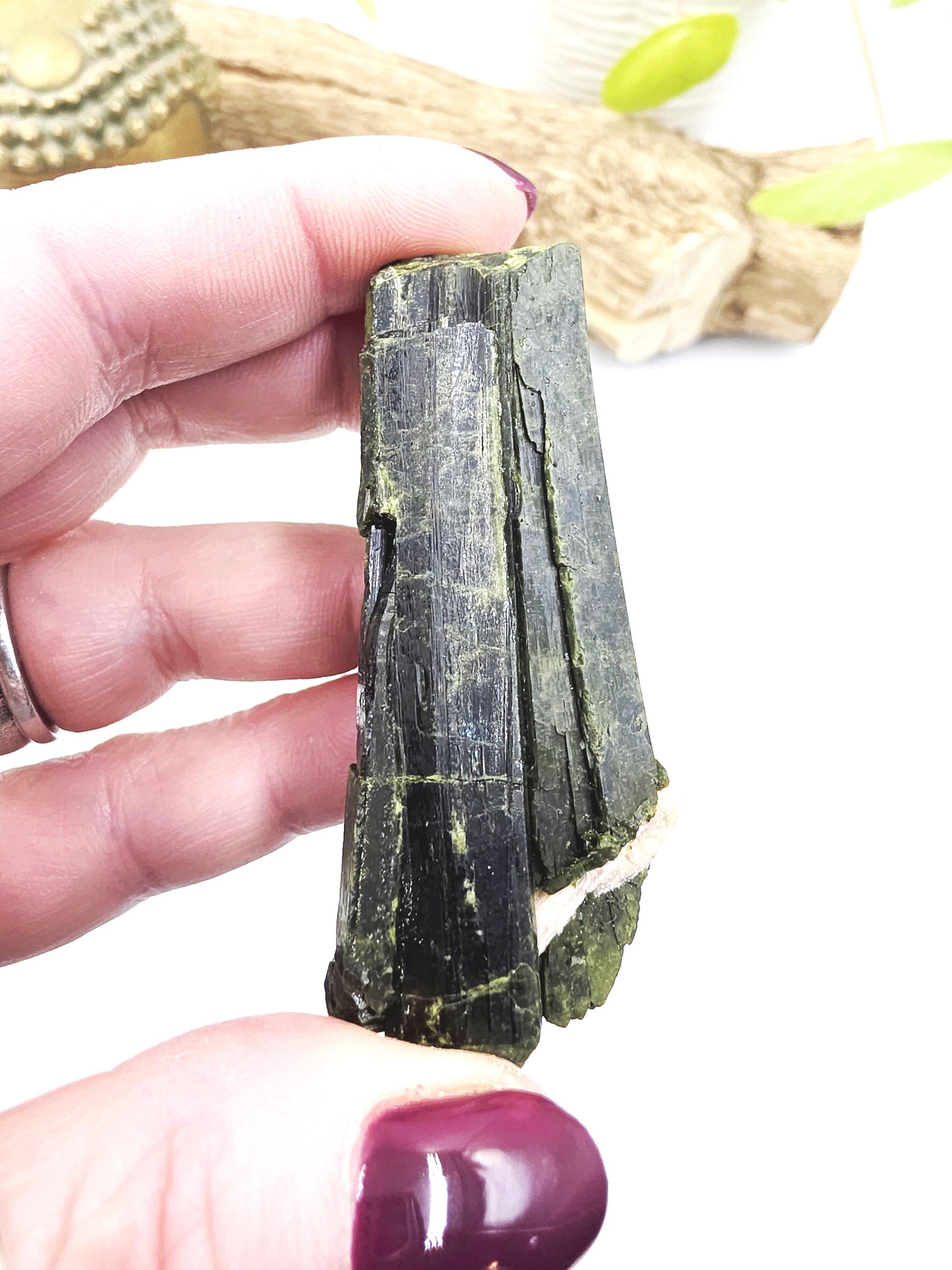 Raw Epidote Crystal Specimen - Growth & Transformation Healing Crystal - 65g