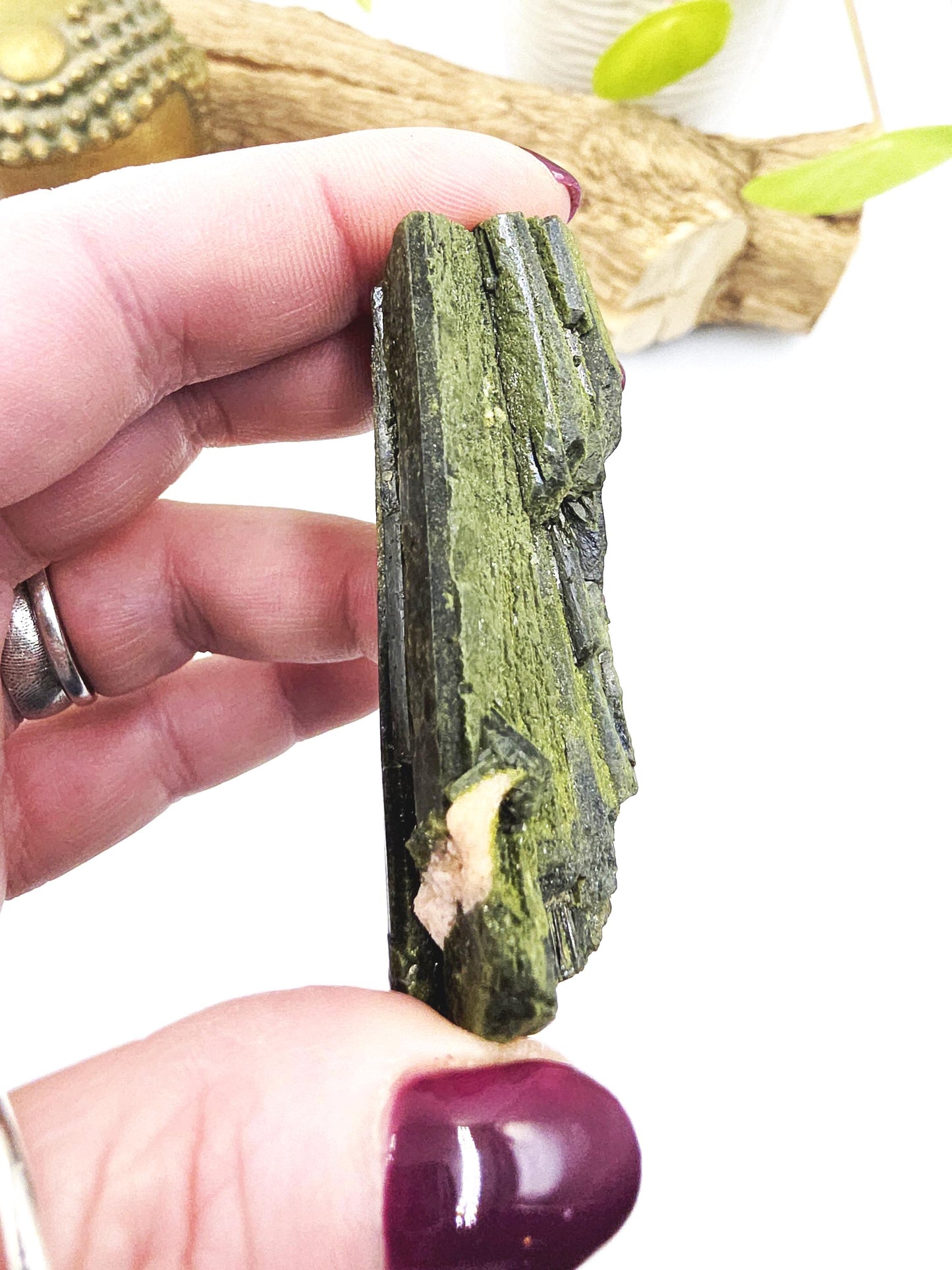 Raw Epidote Crystal Specimen - Growth & Transformation Healing Crystal - 65g
