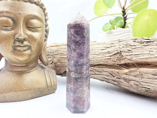 Plum Blossom Tourmaline Tower (Rubellite) - Emotional Healing & Spiritual Growth Crystal Point - 110g