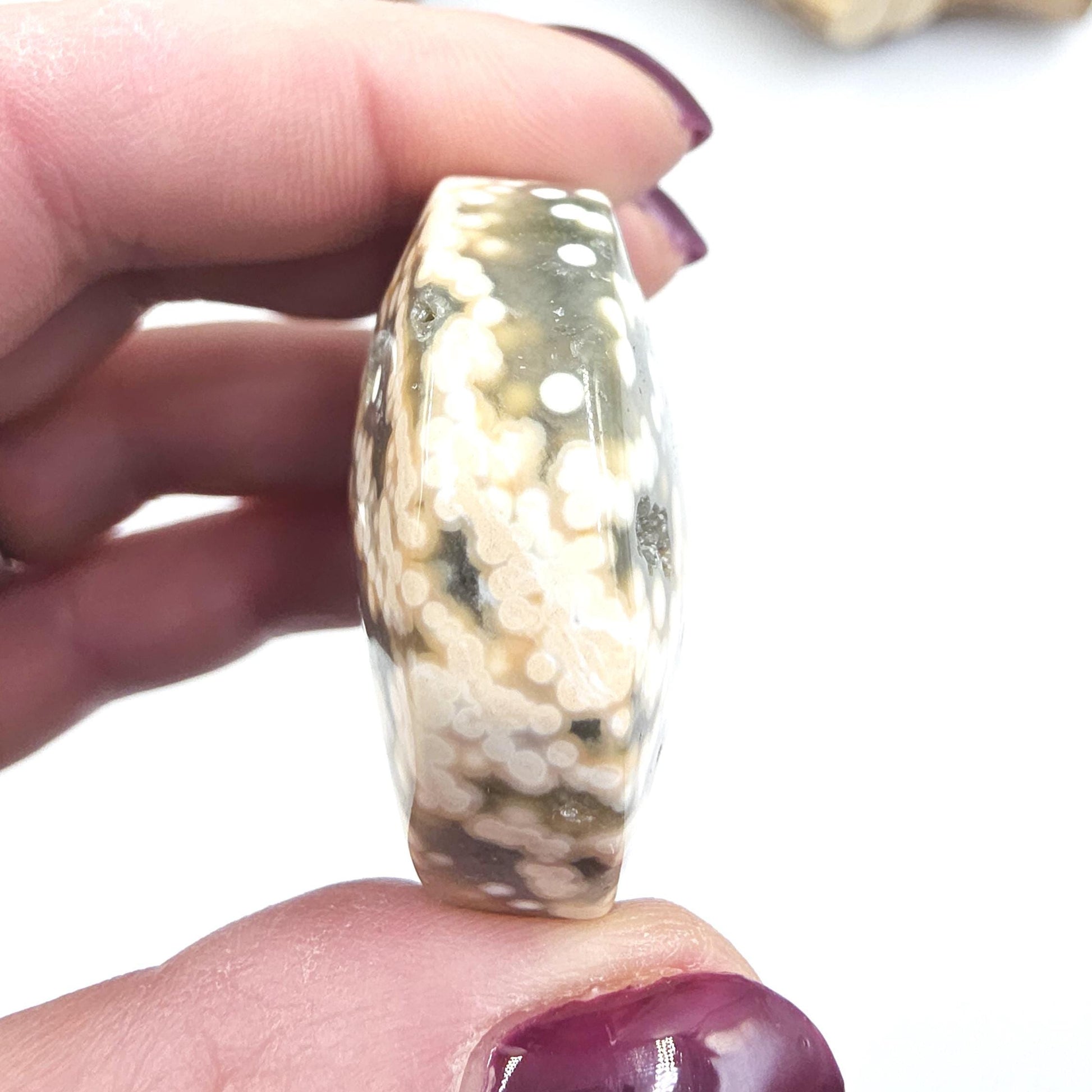 Orbicular Ocean Jasper Palm - Joy & Renewal Healing Crystal, 65g