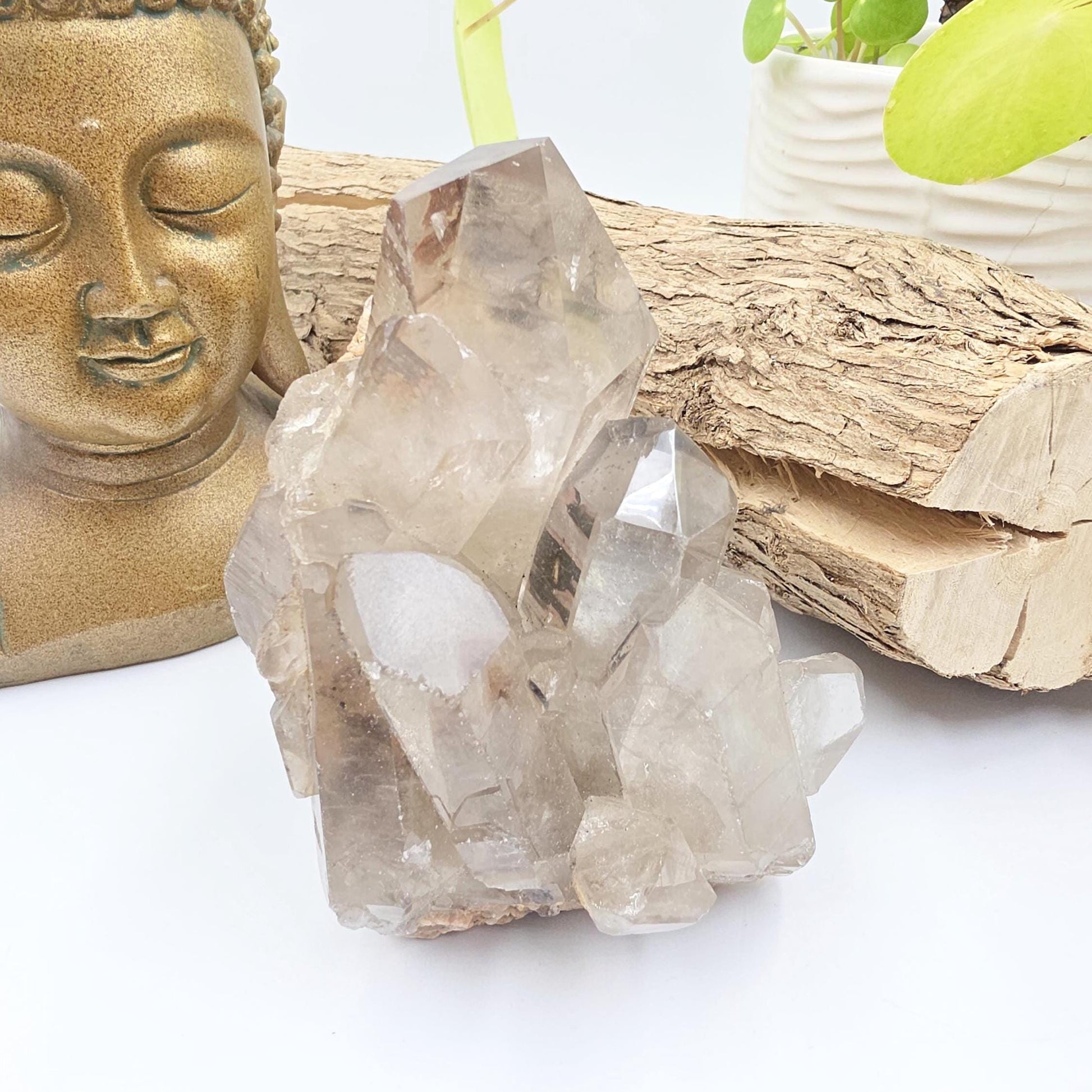 Large Skeletal Quartz Cluster – Transformation, Inner Healing & High-Vibration Crystal, 560g