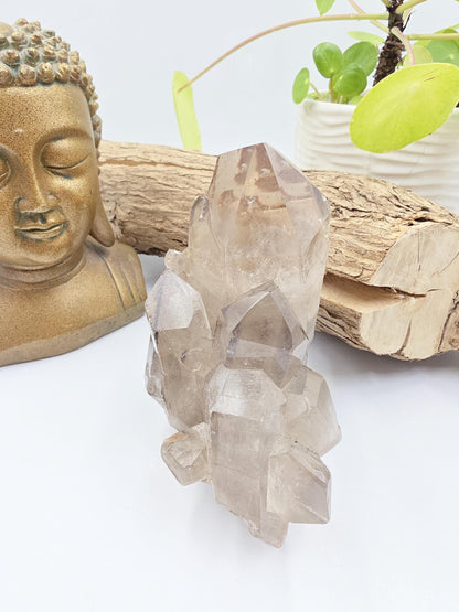 Large Skeletal Quartz Cluster – Transformation, Inner Healing & High-Vibration Crystal, 560g