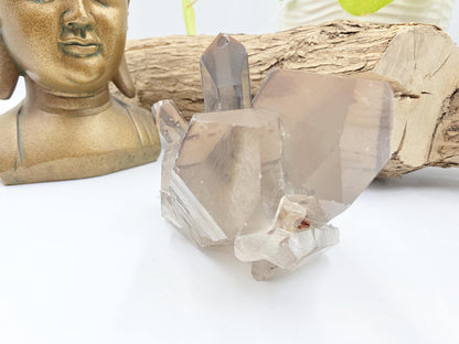 Raw Smoky Quartz Cluster with Rainbow – Grounding, Protection & Energy Cleansing Crystal, 315g