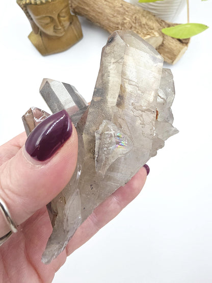 Raw Smoky Quartz Cluster with Rainbow – Grounding, Protection & Energy Cleansing Crystal, 315g