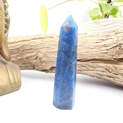 Blue Apatite Tower - Inspiration, Focus & Motivation Crystal Point, 75g