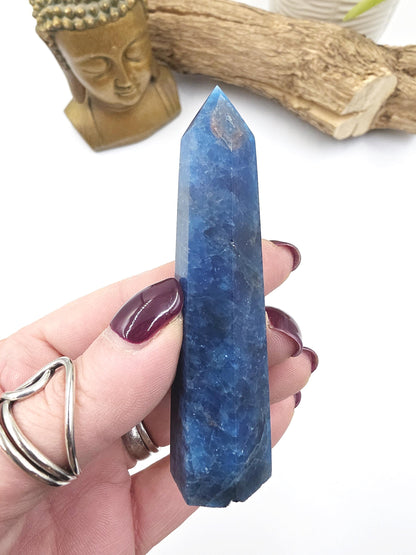 Blue Apatite Tower - Inspiration, Focus & Motivation Crystal Point, 75g