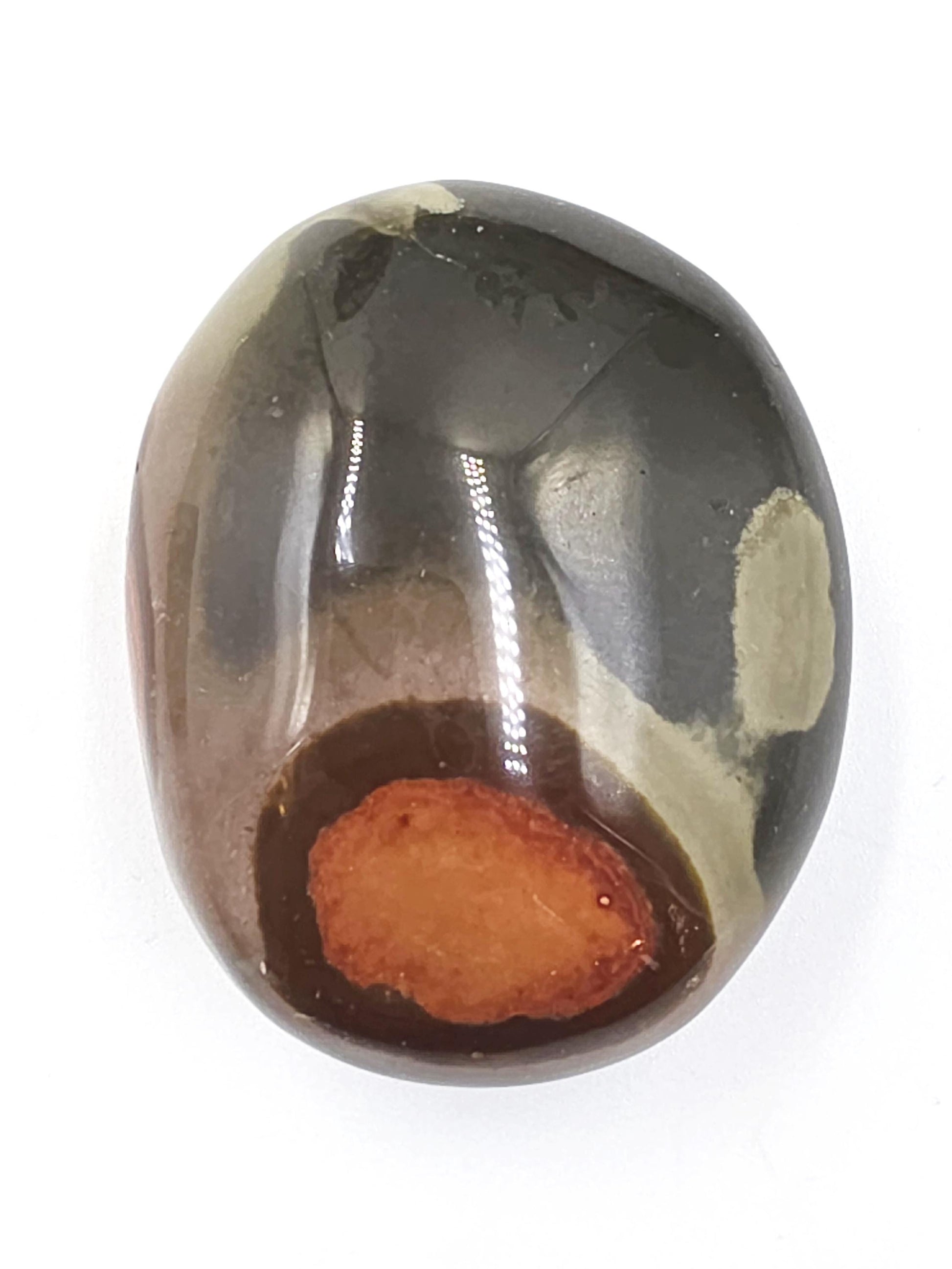 Polychrome Jasper Palm Stone – Grounding, Strength & Nurturing Energy Crystal, 80g