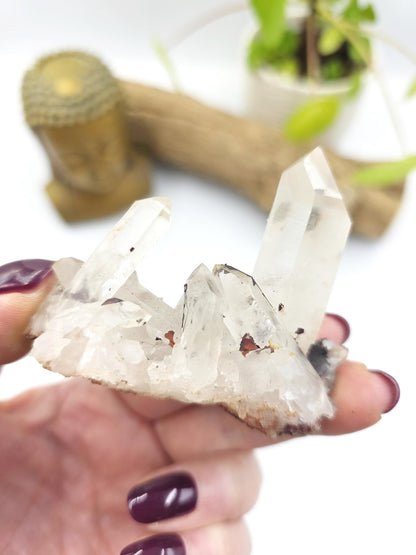 Clear Quartz and Hematite Cluster Specimen - Grounding & Amplifying Healing Raw Crystal, 85g