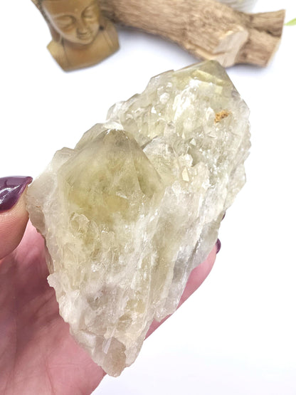 Raw Citrine Pineapple Cluster – Abundance, Joy & High-Vibration Solar Energy Crystal, 545g
