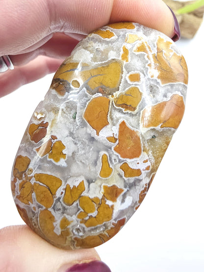 Brecciated Agate Palm Stone with Drusy – Grounding Strength, Stability & Sparkling Earth Energy Crystal, 75g