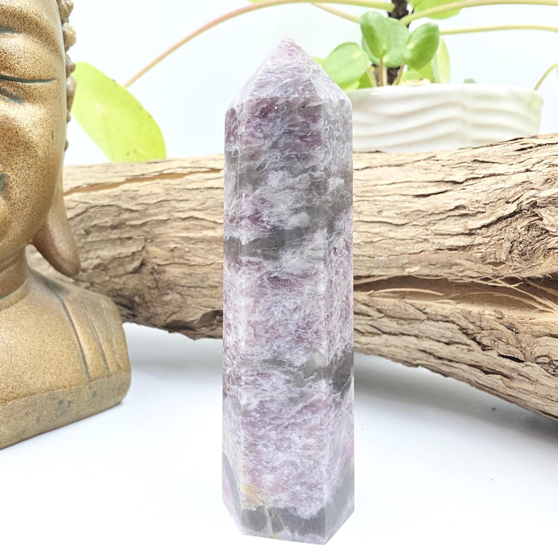 Plum Blossom Tourmaline Tower (Rubellite) - Emotional Healing & Spiritual Growth Crystal Point - 100g
