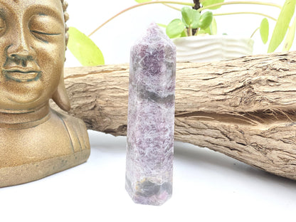 Plum Blossom Tourmaline Tower (Rubellite) - Emotional Healing & Spiritual Growth Crystal Point - 100g